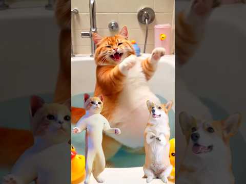 Big Cat and Puppy dance 🐕🐈 #cat #puppy #catdance #puppydance