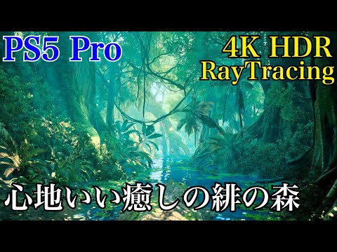 4K HDR 自然環境音 癒しの"緋の森"の音 from モンハンワイルズ 作業･集中･睡眠･リラックス･瞑想 自律神経を整えるASMR  PS5 Pro レイトレーシング