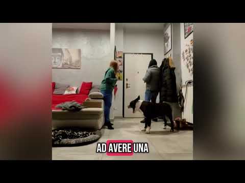 IL MODO CON CUI QUESTA DONNA HA DETTO AL COMPAGNO CHE SAREBBE DIVENTATO PADRE STA FACENDO DISCUTERE!