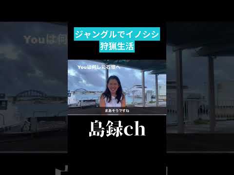 ジャングルでイノシシ狩猟生活🐗 #沖縄 #西表島 #沖縄移住生活