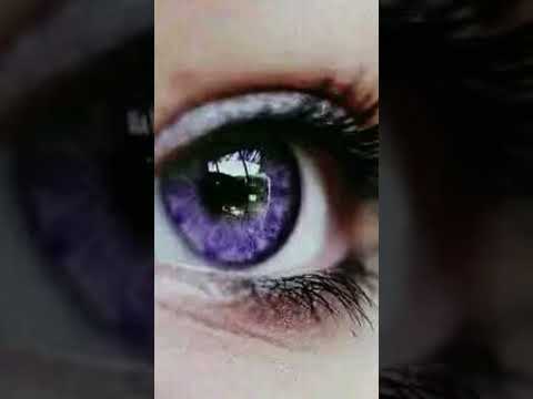 #purple #purpleyou #putplelover#colors WHEN YOUR FAVOURITE COLOR IS PURPLE
