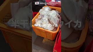 韓国🇰🇷ソウル  常に大行列ソウル中央市場の銘店❕半干しの絶品コウイカ #korea #food #koreafood #옥경이네 #건생선 #seoul #travel