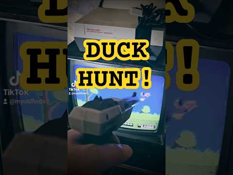 My Original Duck Hunt! #retrogamer #gaming #videogames #shorts #nintendo #nes #gamingvideos