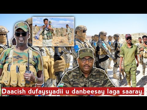 Puntland oo Gododkii u danbeeyay ka saartay Firxadkii Dcsh + Tigreega oo hubka laga dhigayo
