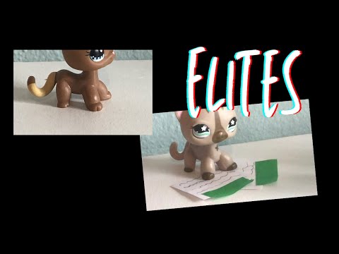 Elites: Official Intro (COMING SOON)