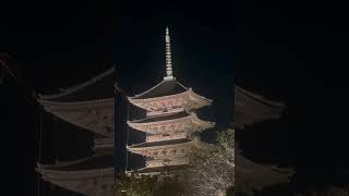 #japantemples #tojitemple #budhatempleinjapan #japantravel #kyotoattractions #fallattraction