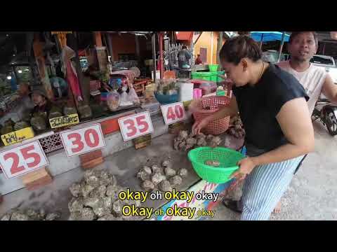 【环球旅行日记】泰国南部素叻他尼红树林生蚝海鲜市场美食推荐
