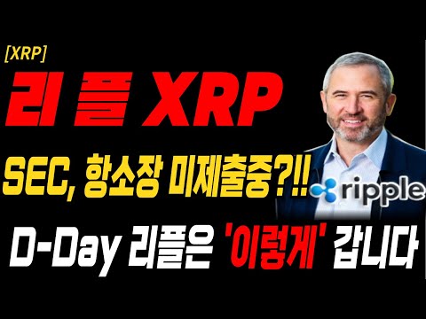 코인 [리플 XRP] 속보 !! sec 항소장 미제출중?! d-day 리플은 '이렇게' 갑니다  #리플뉴스 #sec항소 #리플 항소 #리플 기각 #리플항소기각