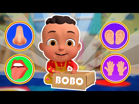 Sensory Explorer Episode | Bobo's Wonder World Learning Show For Kids | Educational Videos