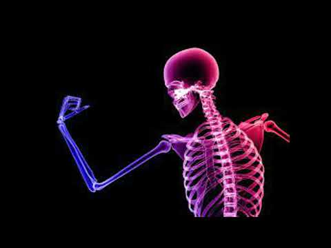 Bones imagine dragons but all the verbs are bones