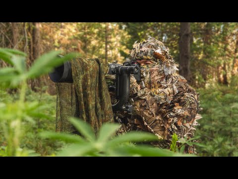 A Hidden Nest Amongst the Forest | Wildlife Photography Adventure