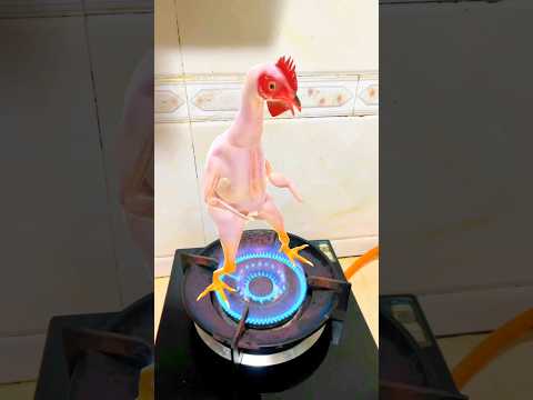 Super Chicken Dance 🐔 #chicken #rooster #chikensong