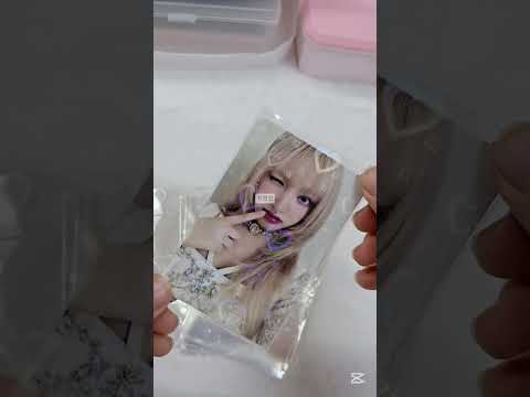 다이소, 알리깡!! #아이브#다이브로그#다이소#다이소깡#알리#공사장#포카포장 #포카깡 #리즈#워녕#레이#가을#이서#유진