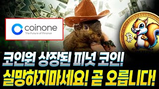 코인원 상장된 피넛코인! 상장빔 없어서 실망하셨죠?! 걱정 ㄴㄴ 곧 역대급 폭등빔 옵니다!