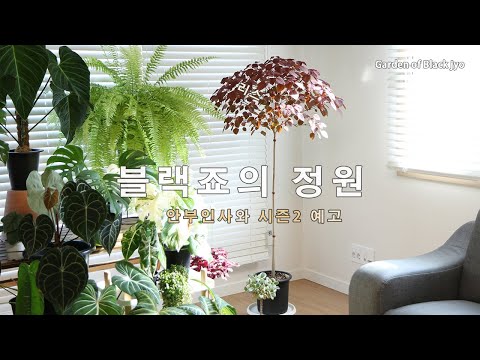 안부인사와 시즌2 예고