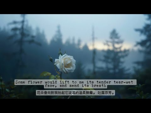 慢歌 At Dawn | 中英字幕 | AI 小提琴對唱版 | 加拿大詩歌 | Canadian Poem Song (ESL 賞文學 | 學英文)