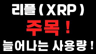 [리플코인] 주목 ! 늘어나는 사용량 ! (불독코인,비트코인,급등코인,코인단타)
