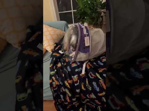CAT BUBBLE!