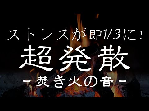 【超発散】5分でストレスが1/3になる焚き火の動画＋音。