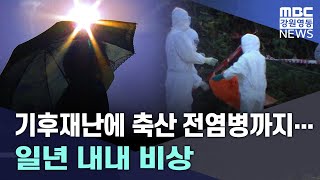 [연말기획]기후재난에 축산 전염병까지... 일년 내내 비상 20241231