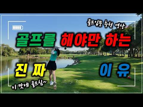 ⛳️골프입문이 망설여 지는 사람들을 위한 영상 #골프 #여행