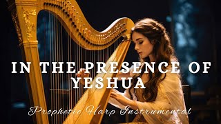 Prophetic Warfare Harp Instrumental Worship/IN THE PRESENCE OF YESHUA
