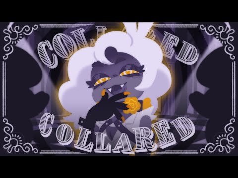 Collared / SAROS