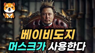베이비도지코인 일론머스크 공식발표입니다 이제부터 본격적인 상승시작 업비트 빗썸 코인베이스 직행
