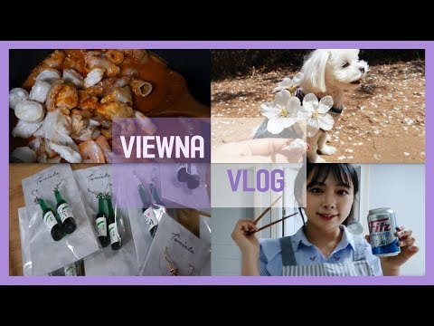 [VLOG] #1 첫 브이로그/별거없는 일상