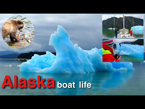 Sailing Alaska Boat Life - Glacier, Whales,Sea Lions,Bears & Sailing - S 2 Ep 19