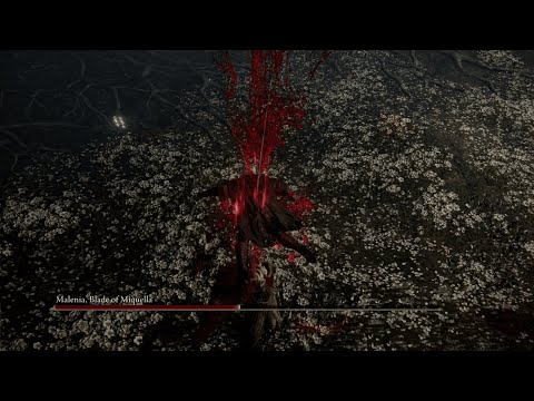 They don't know that I just killed Malenia, Blade of Miquella