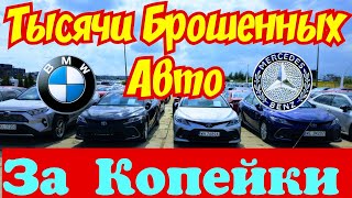 Тысячи БРОШЕННЫХ АВТОМОБИЛЕЙ  Отдают за Копейки !!! 😱🚘👍