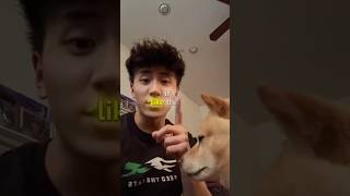 Here’s a song recommendation for you - Falling - Brandon Liao