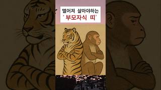 떨어져 살면 도움되는 부모자식 띠