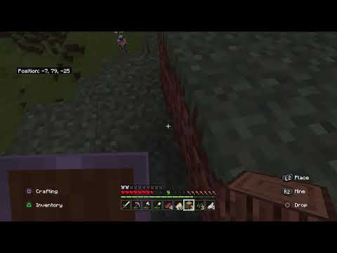Minecraft with viewers
