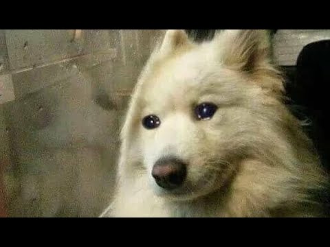 차 안에서 듣는 음악ㅠㅠ
