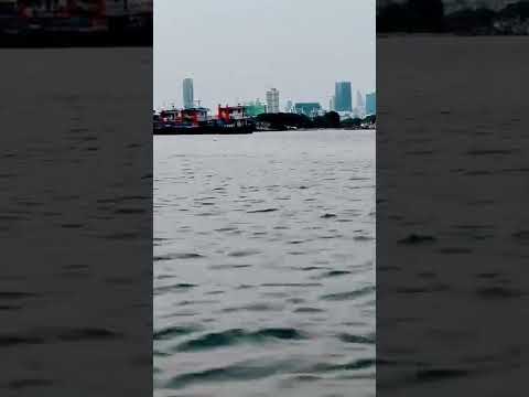 #bangkok #travel #boat #rider #riverside #bangkoktravel #lungs #garden