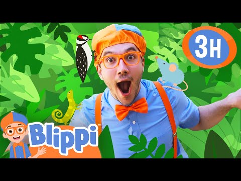 What’s It Like to Live Like an Animal? 🐾 - Blippi | Educational Videos for Kids