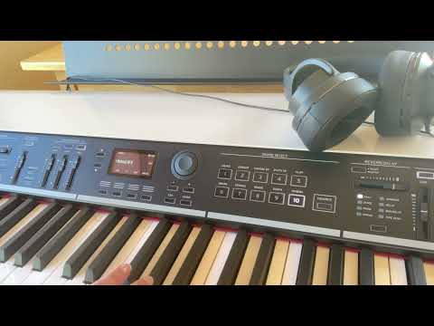 Discovering the FX animal sounds on Korg Grand Stage X! (Lots of fun) - headphone sound only