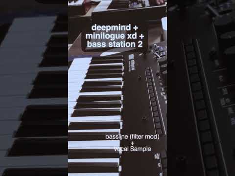analog synth groove #synthesizer #miniloguexd #korg #synth #music #beats #shorts #shortsfeed #short