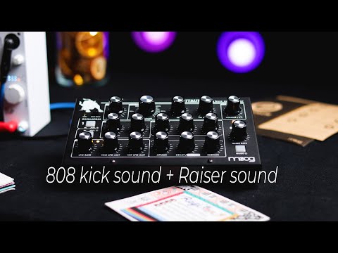 Moog Minitaur sound design | +"one synth" track