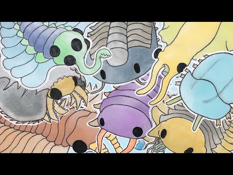 cambrian animals !! full album