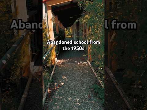 Abandoned school from the 1950s #abandoned #abandonedplaces #urbex #urbanexploration