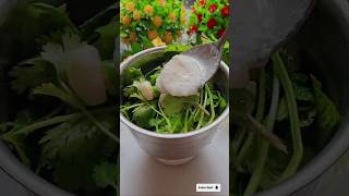 👩‍🍳Restaurant style pudina chutney #youtubeshorts #resturantstyle #pudinachutney #viralvideo #foryou