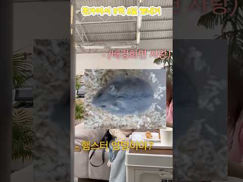 연휴끗