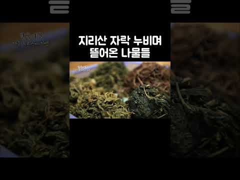 같이 살면 건강은 보장된 할머니댁 #골라듄다큐 #shorts