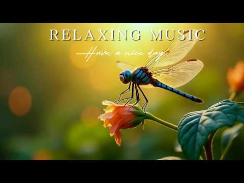🌲 Spark Radiant Rest | Cedar Whispers Calming Piano | Oxy Music