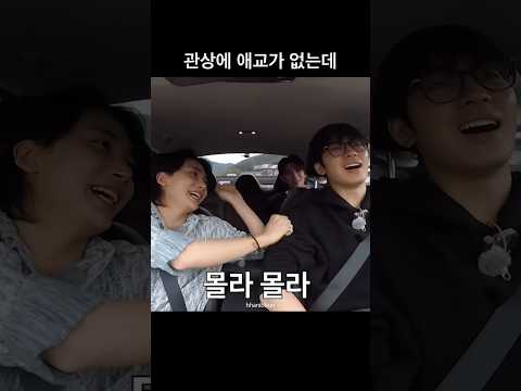 [세븐틴/정한] 관상에 애교가 없는데 애교 개끼는 정한이