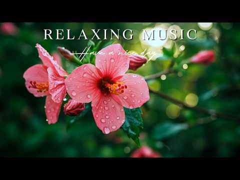 Melt Silent Noise 🌾 Sunset Breezes Lush Piano | Oxy Music