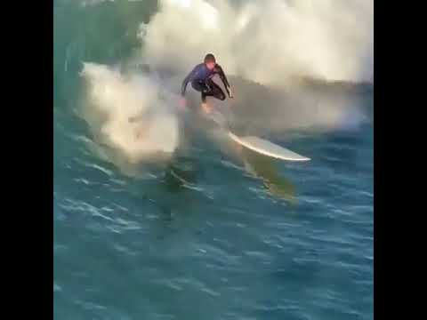 Kook of The Day Super Dumb Surfers with Huge Waves #kook #shorts #surfing #surf #malibu #hawaii